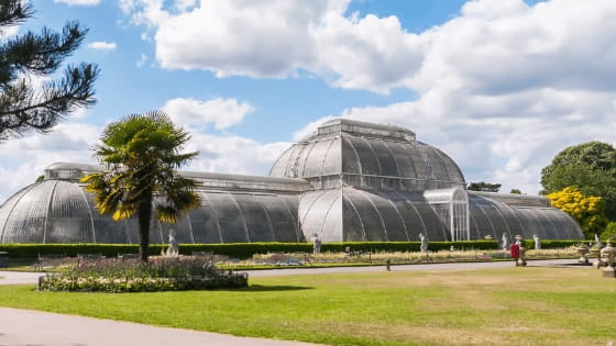Kew gardens greenhouse